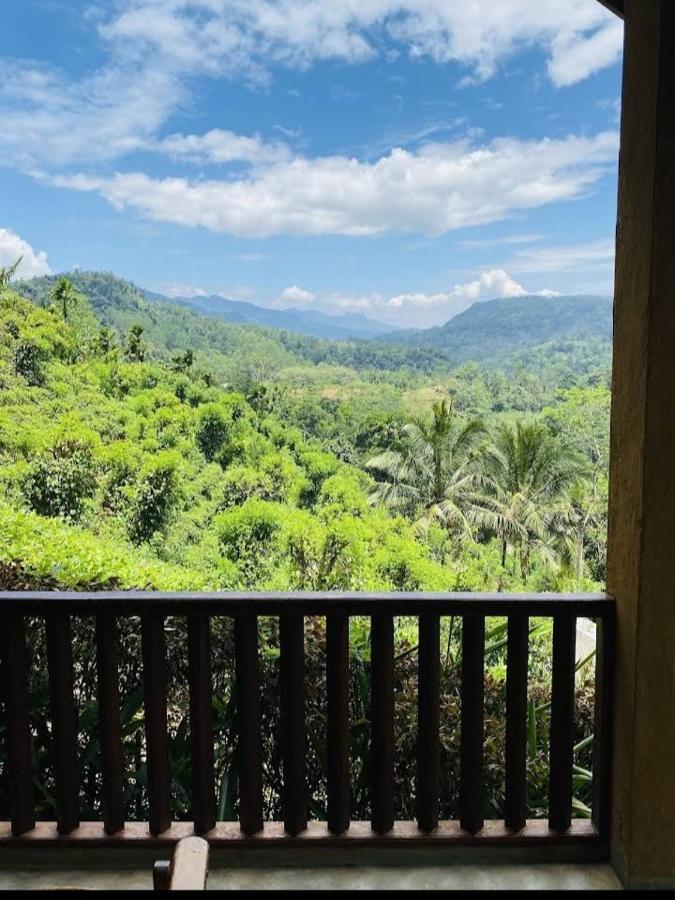 Rainforest Nature House Deniyaya Exterior foto