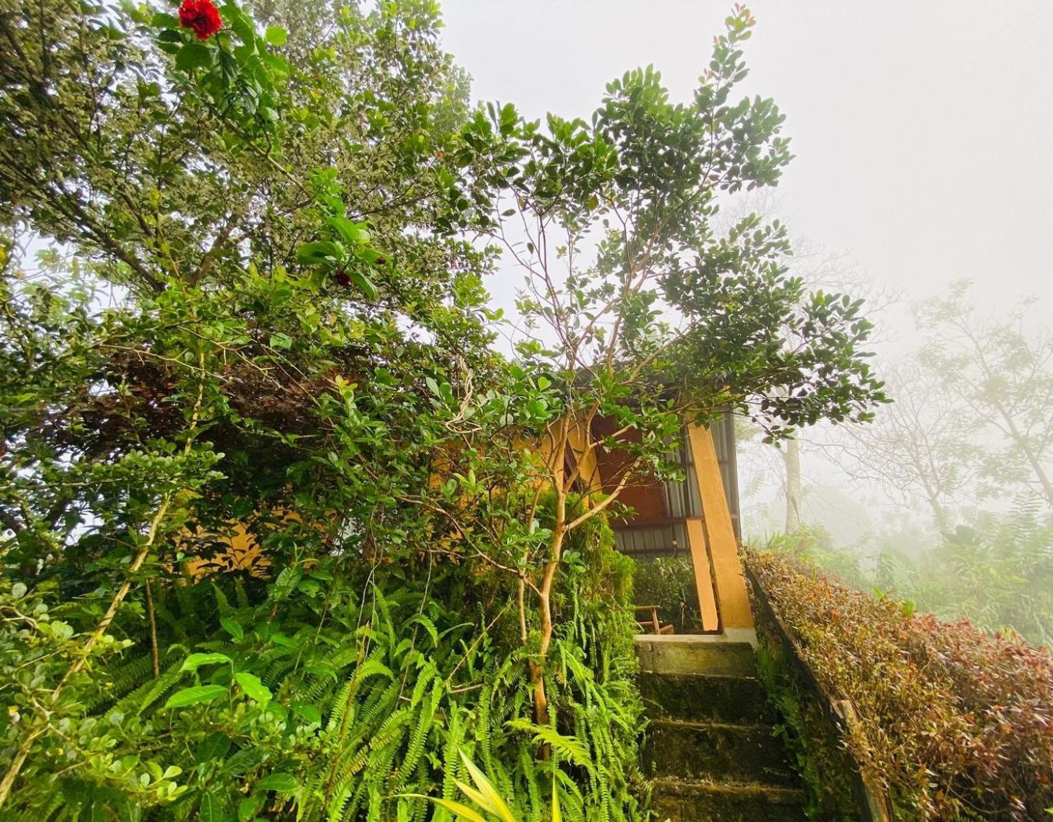 Rainforest Nature House Deniyaya Habitación foto